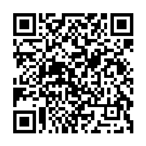 村子里只有祠堂和少数的几个路口有着微弱的路灯散发着光芒二维码生成