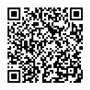 村民们似乎真的感觉到了这个年轻的国王和别人有些不太一样的地方了二维码生成