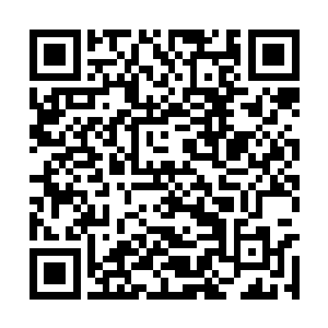 村民发现河滩上不知突然多了一具硕大的蟾蜍尸体二维码生成