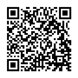 村里的干部和生态养殖基地的工作人员们都起来迎接领导们二维码生成