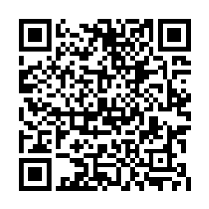 村里那些叔叔婶婶大爷大娘们便都跑来何家看他二维码生成