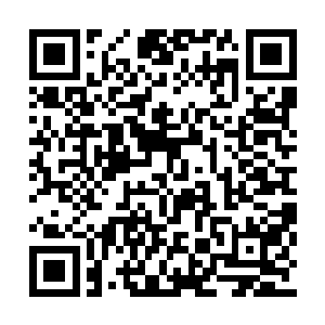 村长家中的那个箱子便瞬间落在了许紫烟的脚下二维码生成