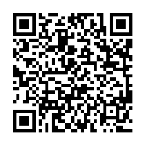 杜克即将又一次把北美和全球年度票房冠军收入囊中二维码生成