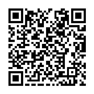 杜克和华纳兄弟不会拿这种投资规模的影片做实验二维码生成