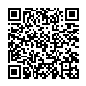 杜克特意为他安排了两位风情万种的女主角作为调剂二维码生成