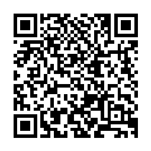 杜克独有的叙事技巧视觉风格以及影像语言都被完美的贯彻其中二维码生成