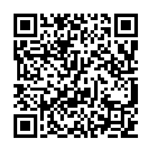 杜克的另一只手在顺着光滑洁白的小腹向上钻去二维码生成