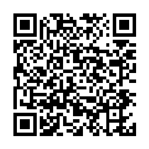 杜克还是为想在电影方面有所建树的麦当娜指了一条路二维码生成