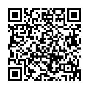 杜克那个导演用崔尼蒂向他们展示了一场不可思议的战斗二维码生成