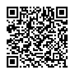 杜兴国也就当初因为对玉熙主政不满才会罢免他二维码生成