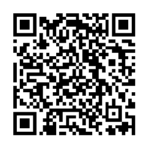 杜塞尔耶夫本人和他的父亲都没有收藏古董枪的爱好二维码生成