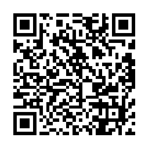 杜家在进行拍卖的时候往往还会获得一些非常有价值的奇物二维码生成