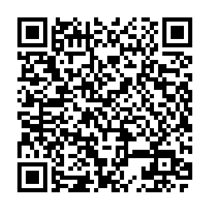 杜家拍卖行不仅安排了杜家的千金大小姐杜蓉蓉亲自来主持此次拍卖大会二维码生成