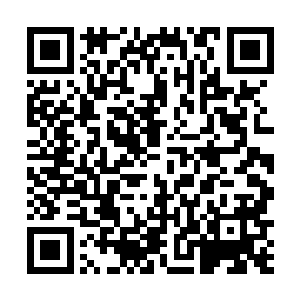 杜家拍卖行之所以会常常拿出一些少见的异宝出来拍卖二维码生成