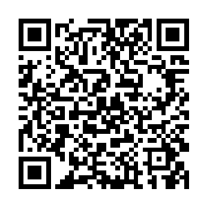 杜家的宴会举办地点居然在临江都的天虎国皇宫之内二维码生成