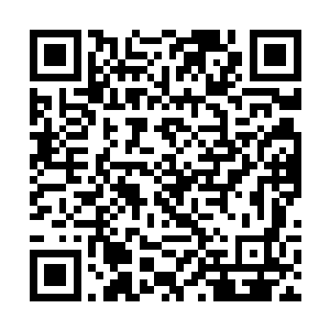杜平县表演团这样的行动极有可能会被追究法律责任二维码生成