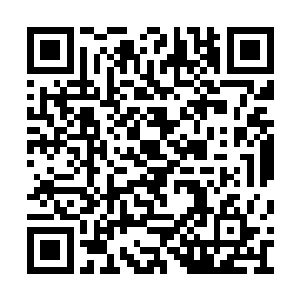 杜怀伤为孟奇等人介绍着朝廷阵营的上三品强者二维码生成