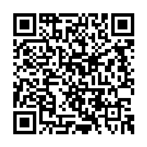 杜泽他们每个人那么多的圣药以及各种天材地宝二维码生成