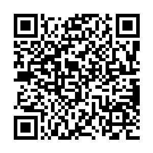 杜笑眉也不知道自己是鼓了多大的勇气才说出这样一句话二维码生成