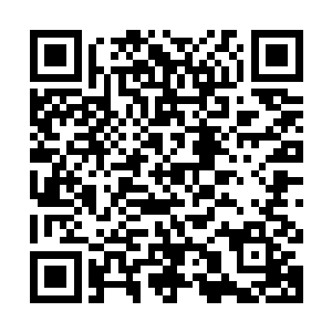 杜蓉蓉见这十几人都是杜家拍卖行高层中与杜傲天关系密切之辈二维码生成