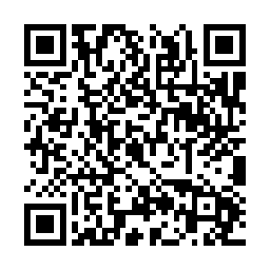 杜薇刚回来没几日南王妃便差了管事妈妈去清月居二维码生成