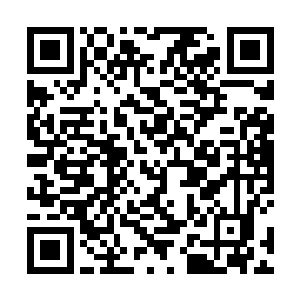 杜薇突然间意识到自己忘记了南王世子是个怎样的人物二维码生成