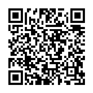 杜逸帆的衣裳和被单上全都被溅上了大量的污血二维码生成