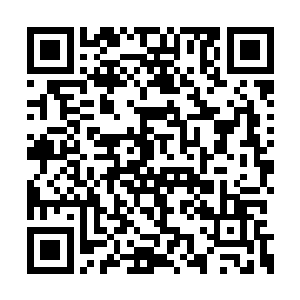 杜遥不过是只想跟他维持着一种有名无实的关系二维码生成