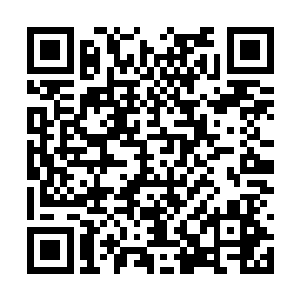 杜雪娥怎能甘心看着原本属于她的一切被杜薇夺去二维码生成