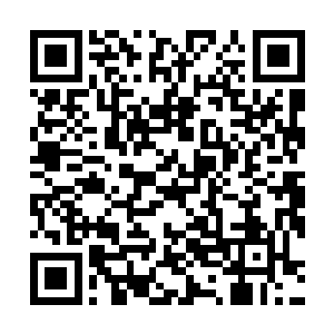 杜预抓住这宝贵的3秒时间和100%提升刀速的刀阵技能二维码生成