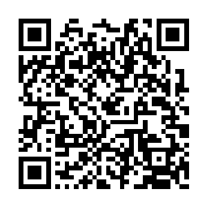 杜预拼命让自己赶紧忘了对女娲的任何不轨之心二维码生成