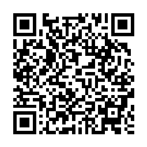 杜预瞥了一眼正在忙着帮单婉晶招呼客人的莉娅和狼瞳队员们二维码生成