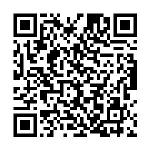 来之前很多人都以为马斯克开新闻发布会是通报破产的二维码生成