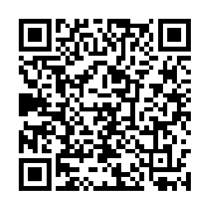 来之前远望长老说的不是只要四成军功就可以了吗二维码生成