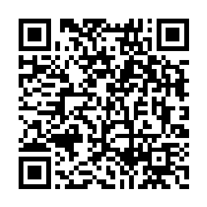 来了这么久哪里有什么草药青云大概还是知道的二维码生成