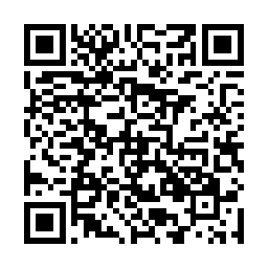 来出跳地张紧也叶小灵精的身隐会都时赛比入进我当每二维码生成