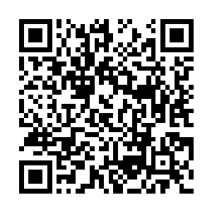 来到上映第五周的大腕却在上周还有7244万周票房的情况下二维码生成