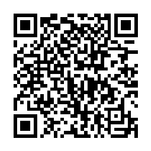 来到了守备更加森严的四季花园在恒河秘境的中心建筑二维码生成