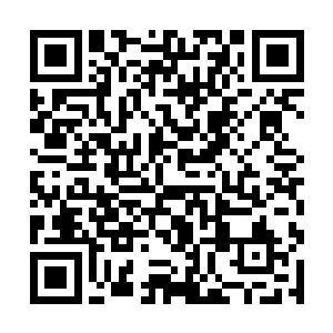 来到了通天塔一层西北角落中一座装修豪华的石屋前二维码生成
