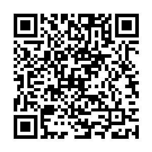 来到早就准备好的主宅一处相对修葺较新的大屋外二维码生成