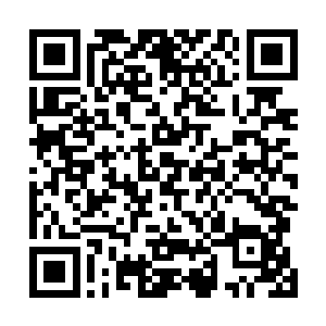 来到杨婵门前的时候正巧见到小狐狸以素端着个盒子赶来二维码生成
