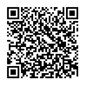 来到海边别墅就被她扔到了一个地方然后她就去做晚饭了……那个地方是哪来着二维码生成