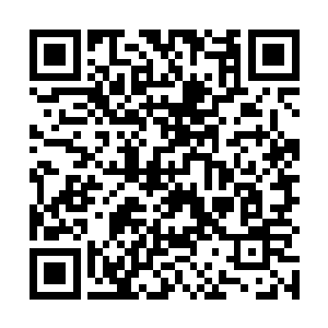 来到现场的记者原本想拍摄的对象是秦洛和蔡公民等人二维码生成