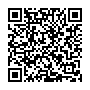 来参加今年庄园大会的其他家族或者势力的人全都到了吗二维码生成
