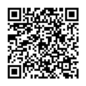 来寻找着岳京用蜃楼珠吸走的那处阵法禁制的破绽二维码生成