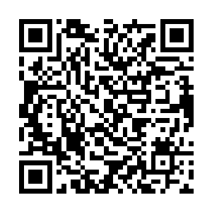 来恭贺的武者们看到雷家大长老脸色瞬间惨白无人色二维码生成