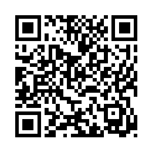 来时的两人一猫回去的时候却变成了一人一猫二维码生成