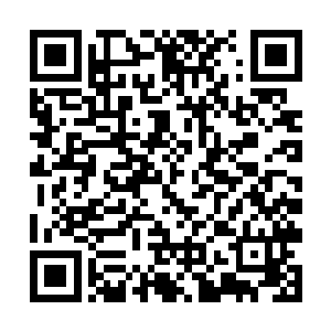 来珀尔司机按照巴克的指挥把车停在一处蓝色棚后面二维码生成