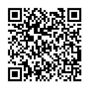 来的人必须要证明自己是活生生的西秦王族的子孙二维码生成