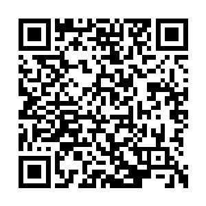 来的时候我已经让人把那些匪徒送到警察局去了二维码生成